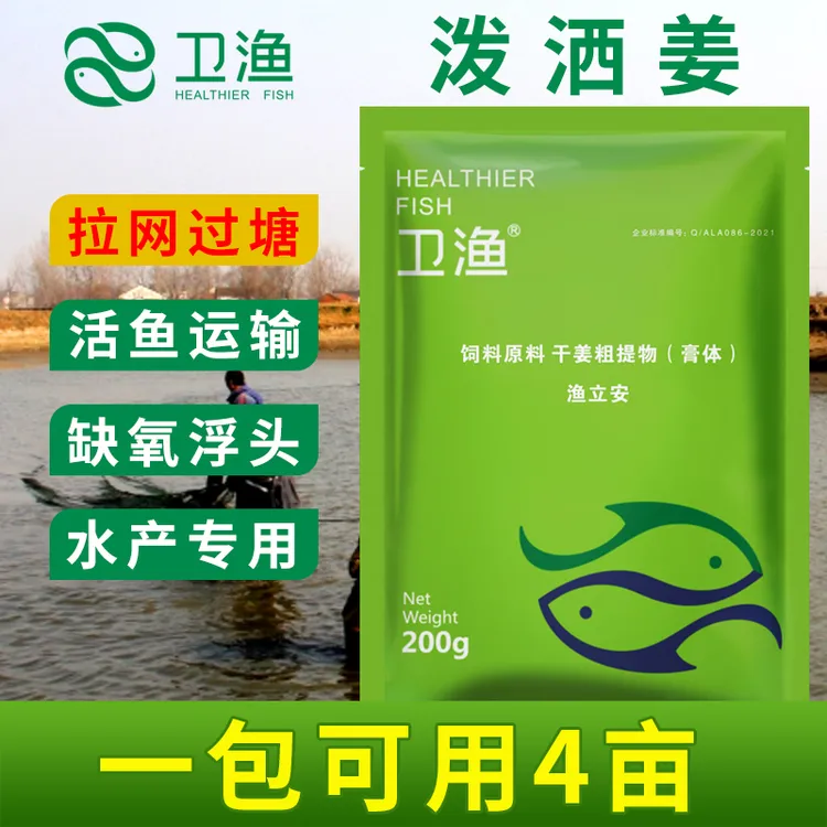 泼洒姜水产养殖用鱼塘高温过塘拉网分塘放苗鲜活鱼运输泼洒干姜粉