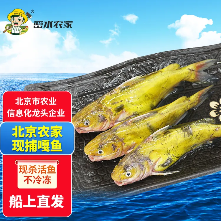 【北京优农】密云密水农家 水库嘎鱼2斤 活鱼现捕现杀 鲜鱼