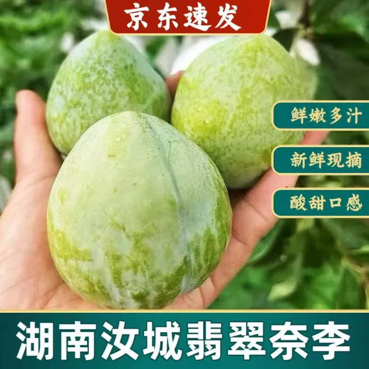 【京东快递】湖南汝城翡翠奈李原产地果园现摘现发新鲜应季孕妇水果