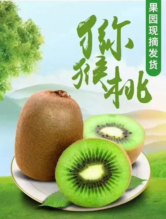 陕西猕猴桃新鲜当季水果自然熟肉厚味甜唐国强