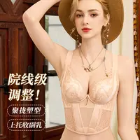 初辛 【体雕衣】院线调整型3D聚拢上托防下垂女式内衣23773