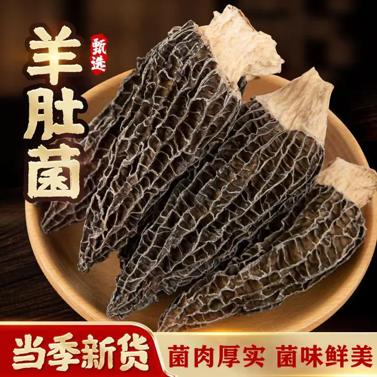 桂林蘑菇鹿茸菇羊肚菌干货干度足煲汤鲜美特产批发食材农村羊肚菌