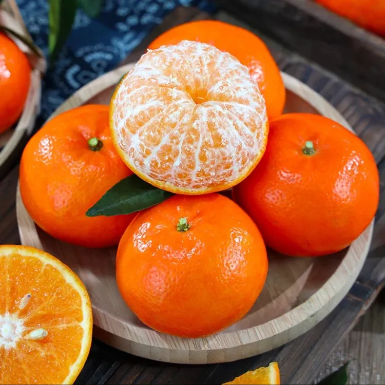 云南高原沃柑橘子新鲜水果香甜皮薄多汁现摘现发特大果砂糖桔子