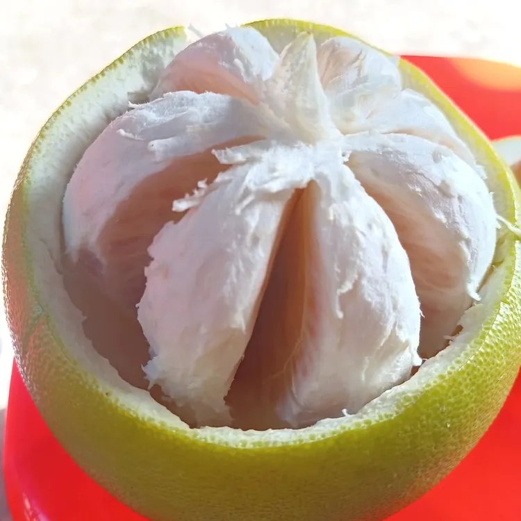 梅州金柚纯甜不酸