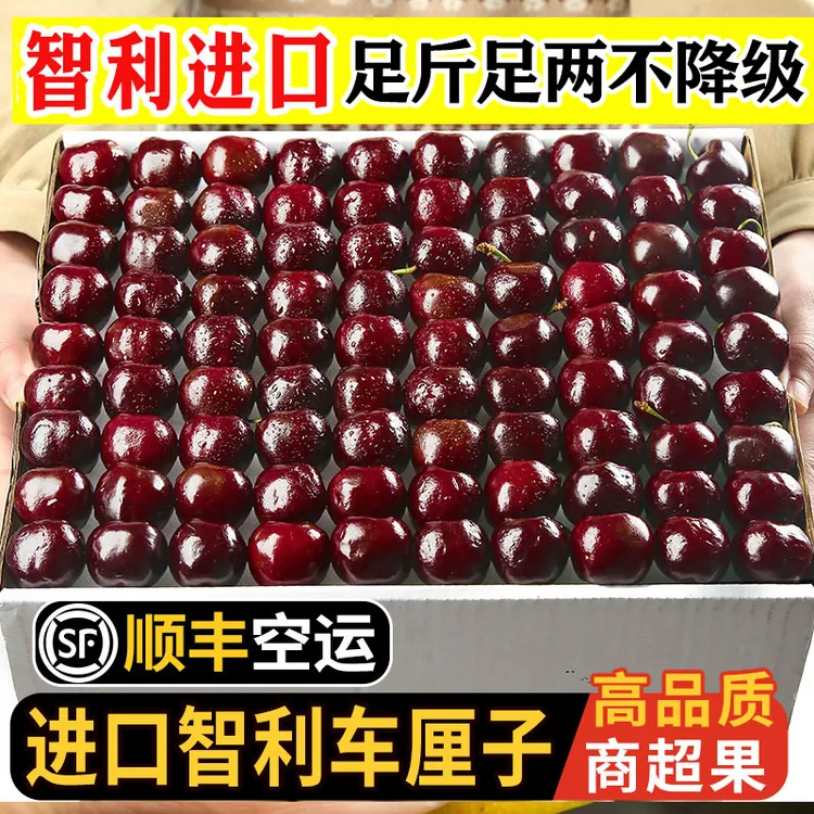 顺丰海运智利车厘子J-4JD进口拉宾斯5斤大樱桃新鲜水果内附果径卡