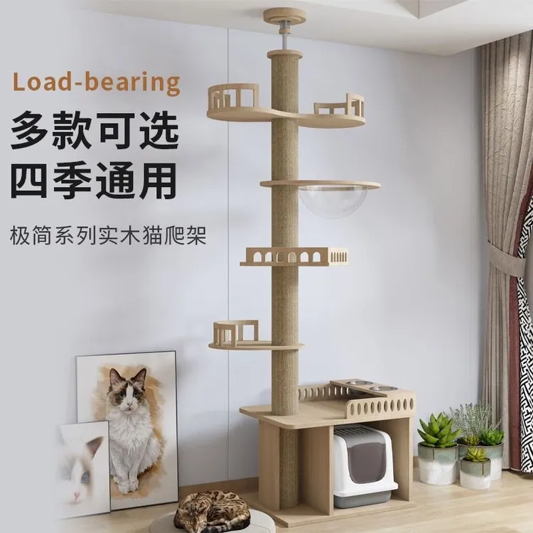 顶天立地通天柱猫猫窝通用清仓宠物必备物品猫家用猫猫咪猫爬架