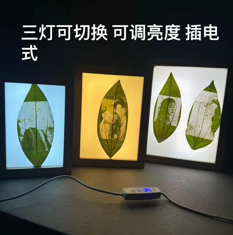 叶雕定制照片礼物送男女朋友毕业纪念生日创意礼品