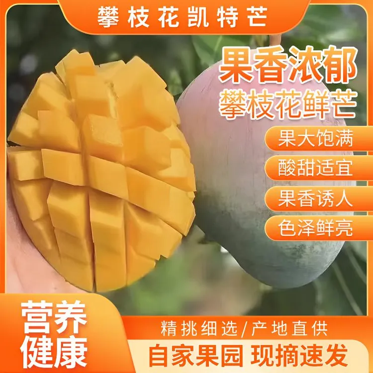 新鲜应季攀枝花贵妃芒特产水果香甜爆汁