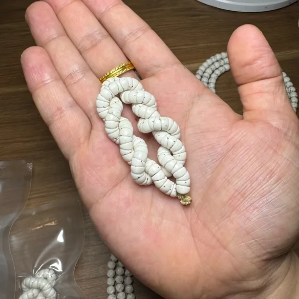新器型(弯刀马蹄)海南原生态原白星月菩提数星星猪大肠文玩