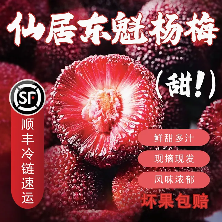 仙居正宗【东魁杨梅】10A级杨梅顺丰冷链新鲜凌晨现采摘精品礼盒装