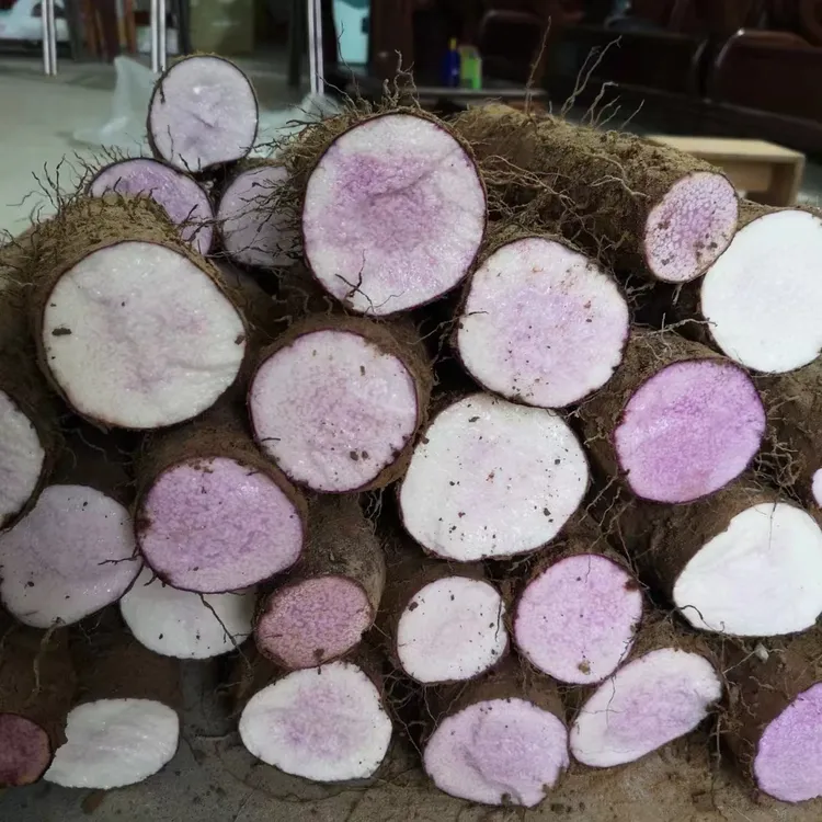 揭西农家特产新鲜现挖蔬菜紫皮淮山粉糯自然好吃食用3斤5斤包邮