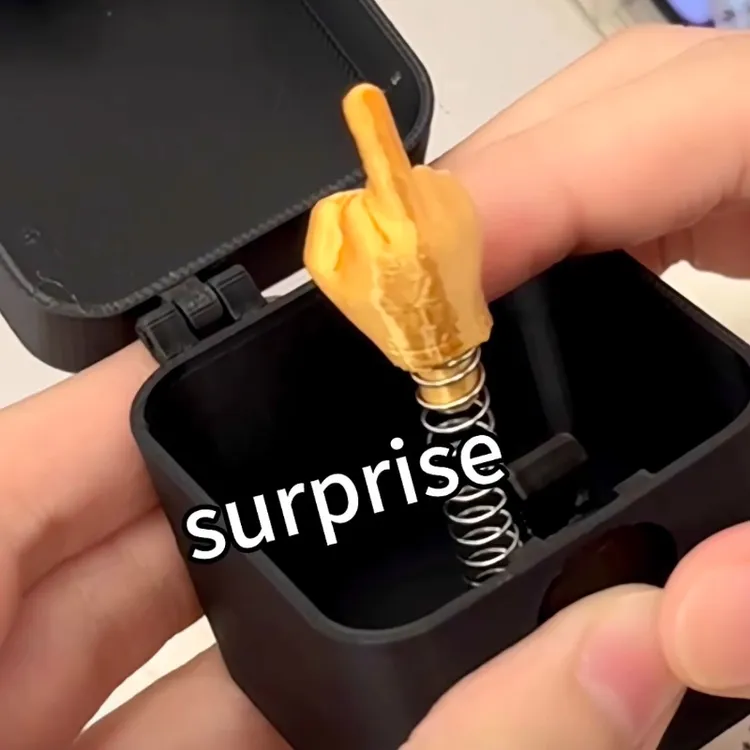 【情侣整蛊好物】竖中指戒指盒创意高级感恶搞解压益智整蛊高级玩