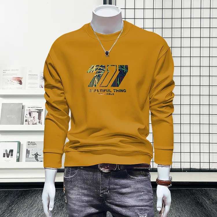 蓝晟依卫衣男款爆款秋季外套时尚休闲男士长袖圆领加绒打底衫5055