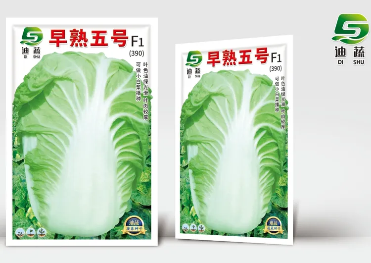 F1杂交早熟五号（10g）适合大面积种植高产