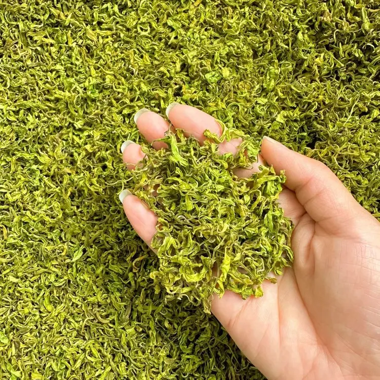 临时链接2025年新茶手工黄金叶黄金芽板栗香浓香耐泡汤清鲜口粮茶