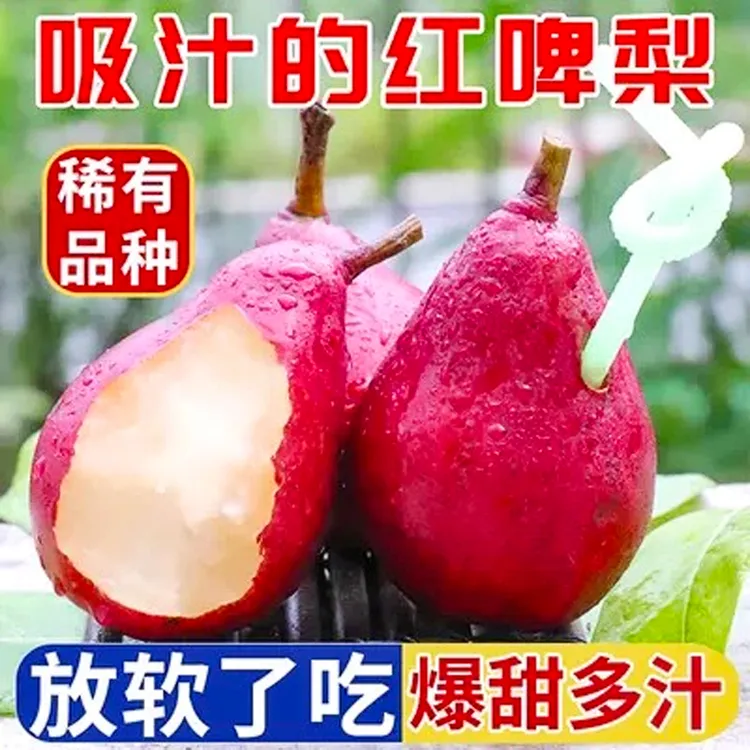 【一定要放软食用】正宗红啤梨当季新鲜水果软糯香甜冰淇淋口感