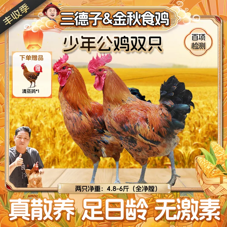 三德子 【少年公鸡】买2赠1生态散养土鸡中秋送礼 包冰率不含冰