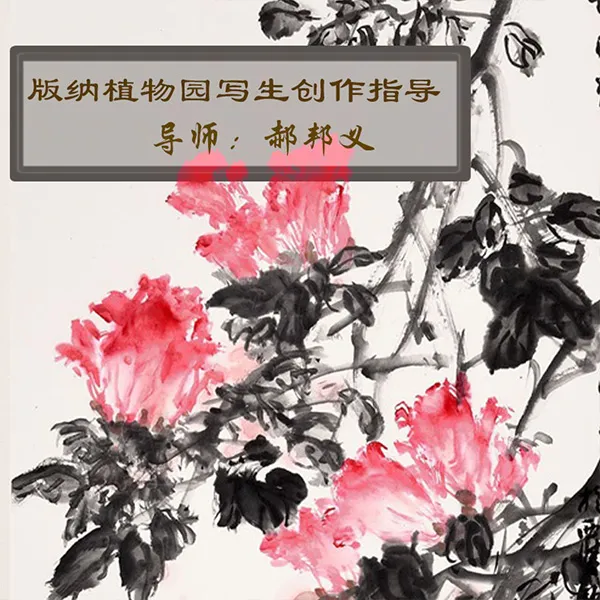 版纳植物园写生指导