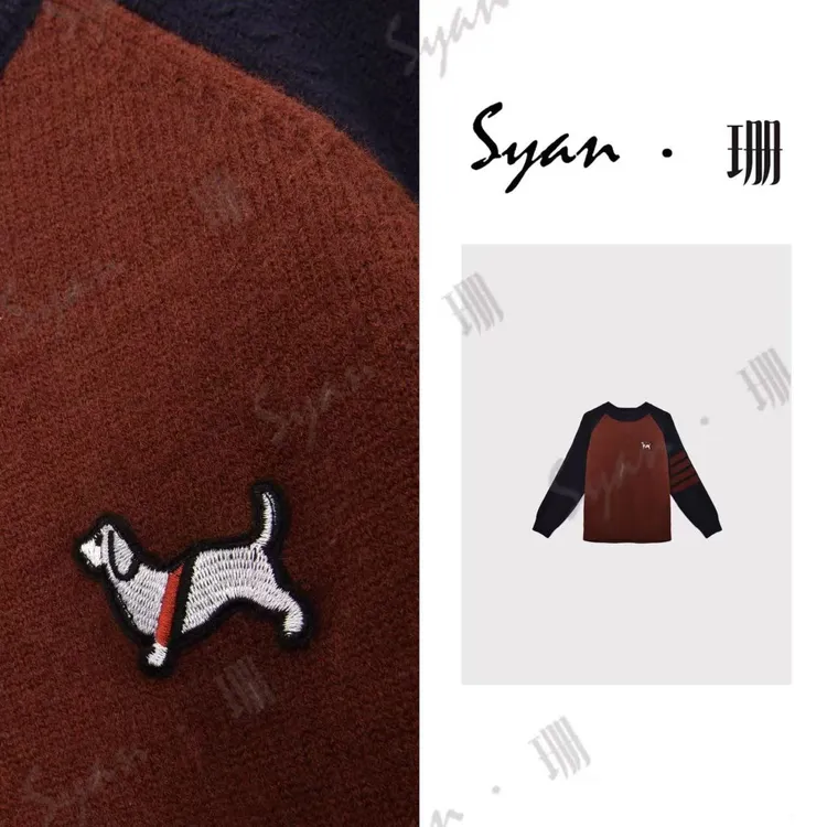 Syan【万物成诗】洋气时尚百搭简约小众高级刺绣轻奢贵气设计款毛衣