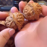 全品三角白11111111