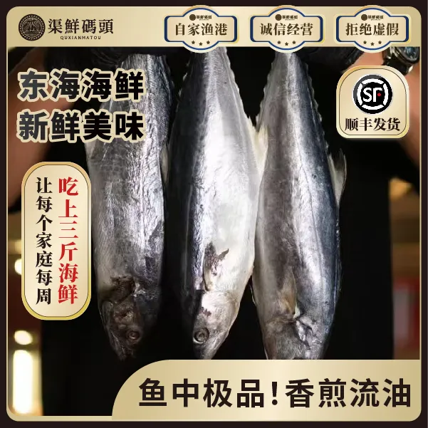 渠鲜码头东海蓝点马鲛鱼不含冰不含水