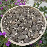 云南土特产 现收山货 深山草莓羊肚菌
