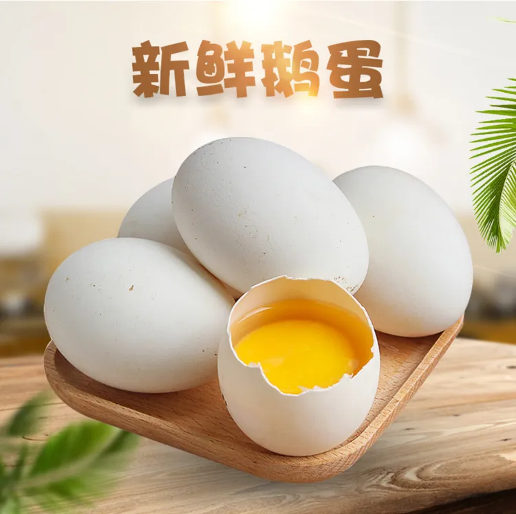 【破损包赔】新鲜散养初生鹅蛋 20枚装  现捡现发