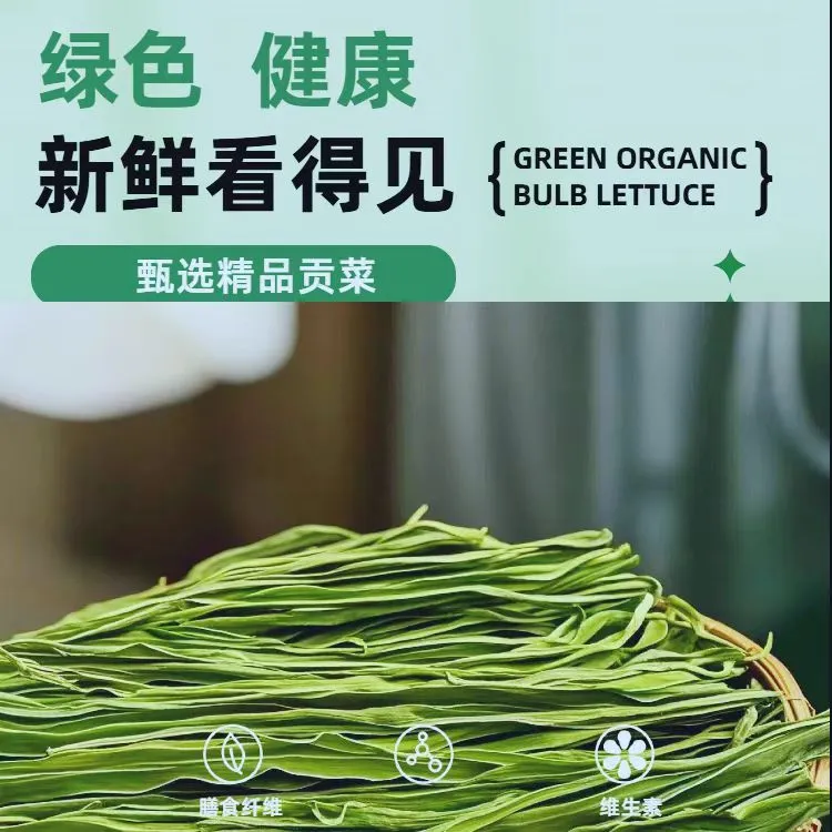 2025云南高原贡菜优级农家优质贡菜脆嫩香甜新鲜火锅苔菜响菜干