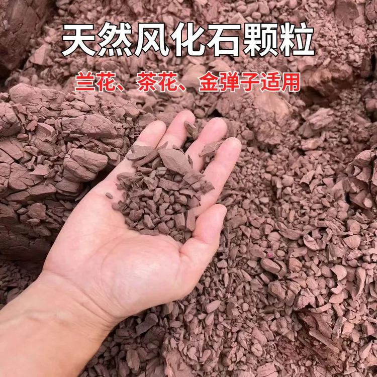 天然风化石颗粒土兰花茉莉花金弹子专用土透气渗水促进生根营养土