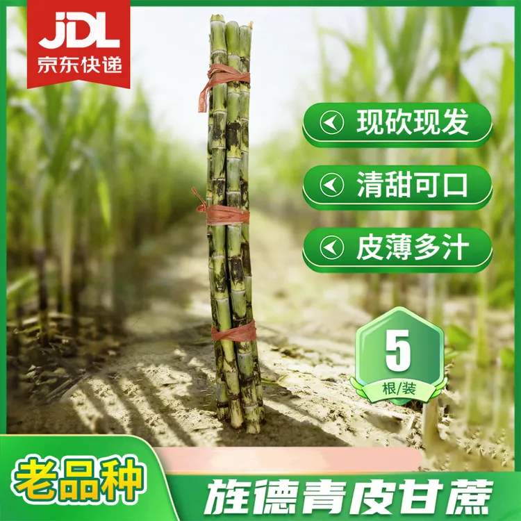 皖南旌德青皮水果甘蔗薄皮多汁5根装京东快递