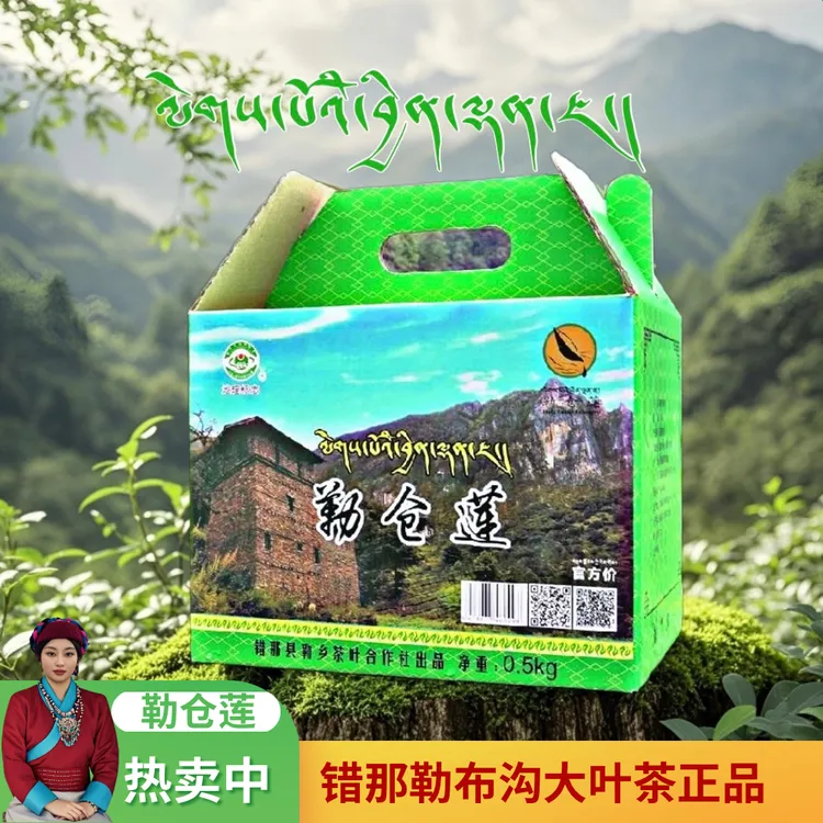 西藏错那勒布沟大叶茶 品质优良口感醇厚