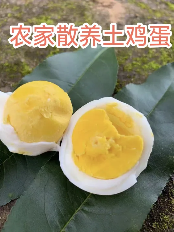 邮政包邮（甘肃）农家散养土鸡蛋