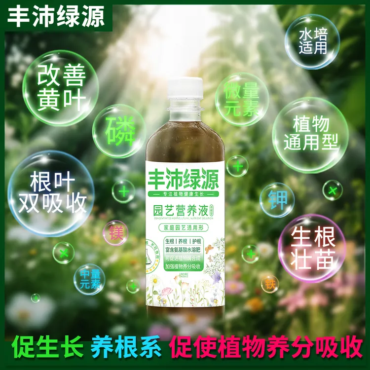 营养液植物通用型家用园艺用品花卉绿植盆栽多肉盆裁肥料富贵竹