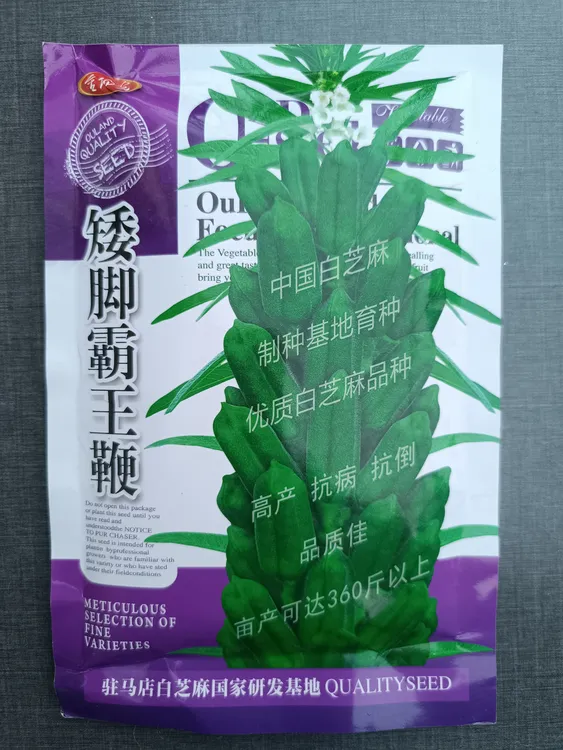 矮脚霸王鞭一碗芝麻半碗油高产抗病出油多