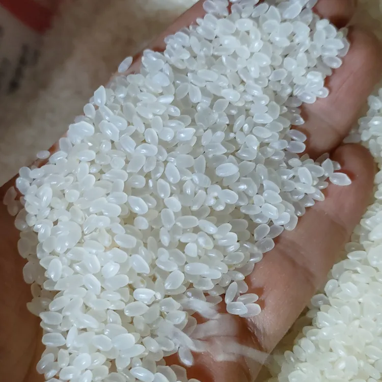 东北辉南老梁米业小町新米9斤散装