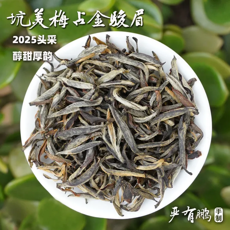 【坑美头采·梅占金骏眉】2025严师傅高山红茶，花香醇甜厚韵125g