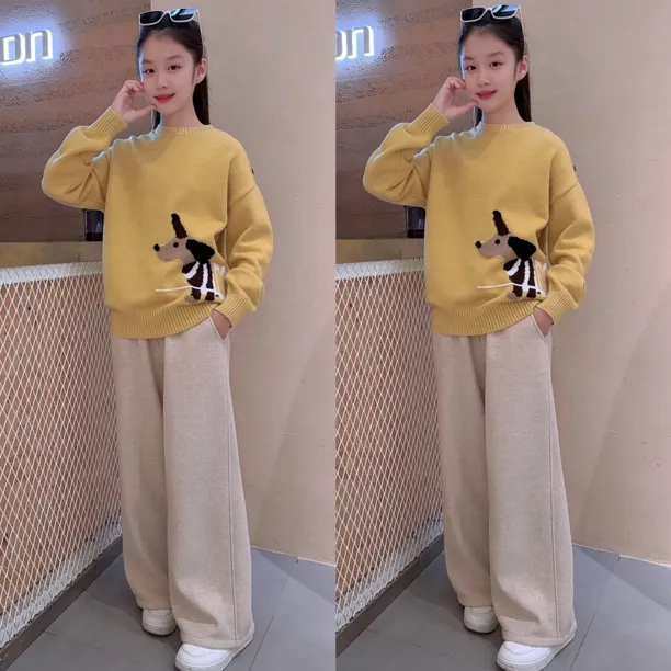 女童韩版秋冬季腊肠狗毛衣加绒休闲裤套装春秋显瘦网红时尚百搭