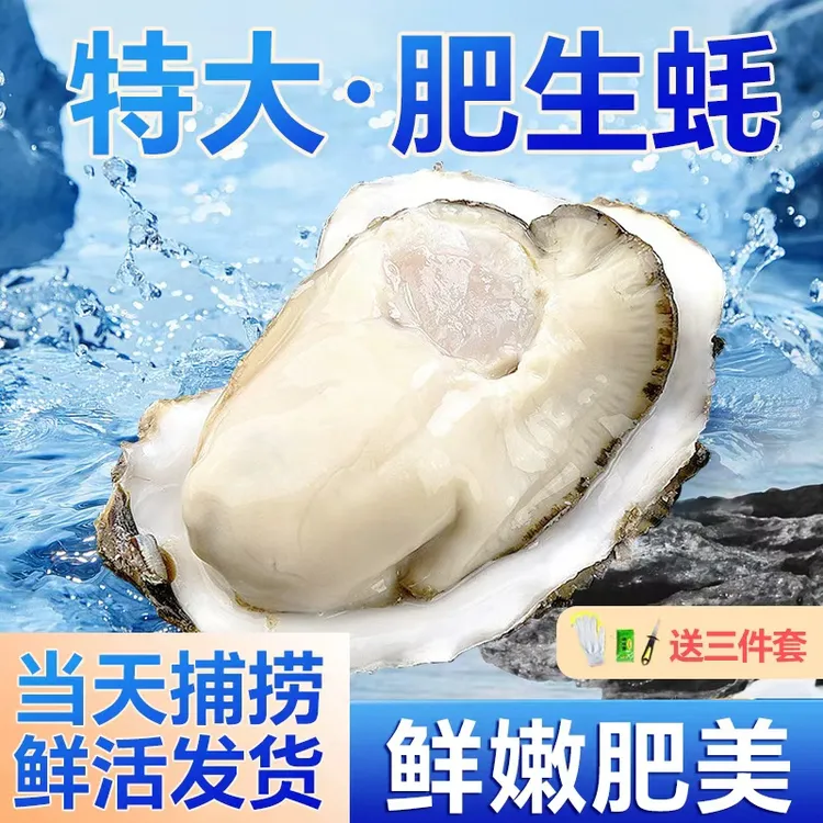 乳山生蚝4-6两/只10斤装 原产地直发活鲜海蛎牡蛎火锅烧烤蚵仔煎