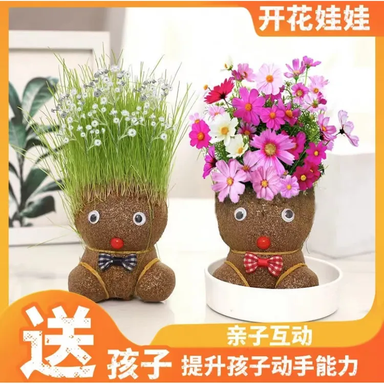 头上长草娃娃草头开花儿童种植小盆栽种草绿植观察植物生长幼儿园