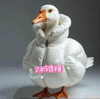 2#【编号200-299】微瑕清货福利 高品质时尚女装