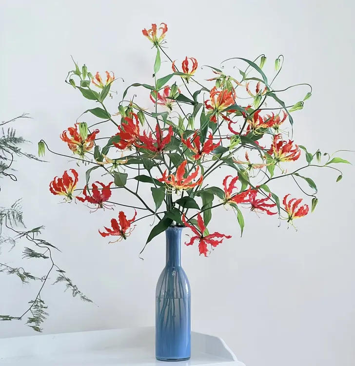 【拾花拾木】嘉兰百合云南家庭年宵鲜花
