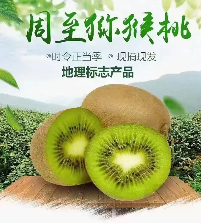 陕西周至翠香猕猴桃绿心新鲜现摘香甜多汁孕妇水果