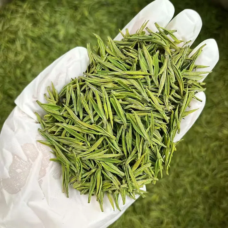 临时链接助农安吉白茶