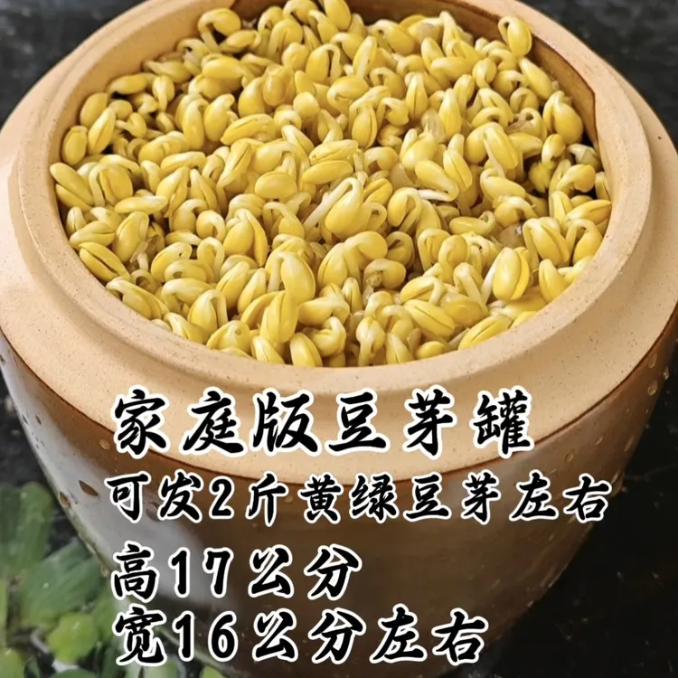 家用发豆芽神器配盖配纱布豆子石子教程高档