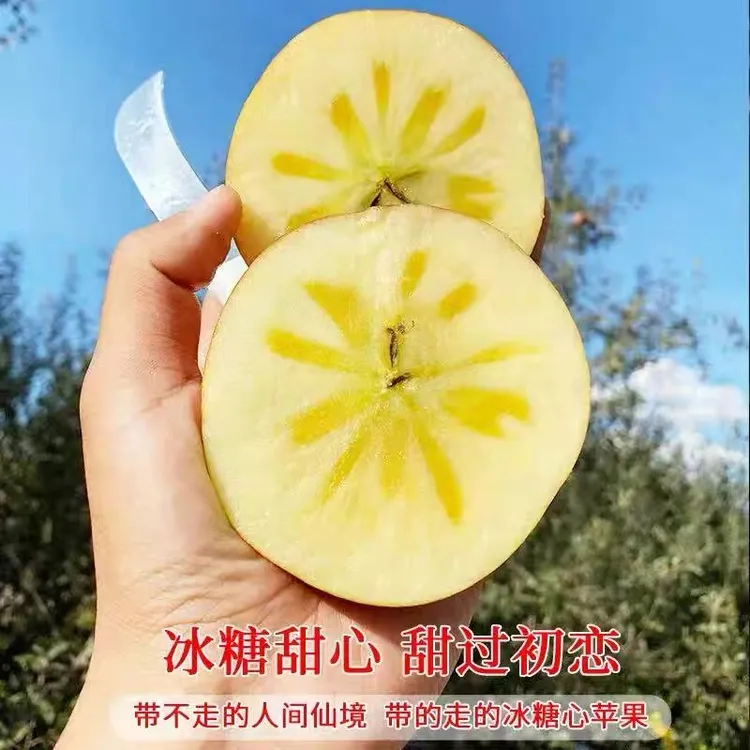 【顺丰包邮】正宗大凉山富士丑苹果现摘现发