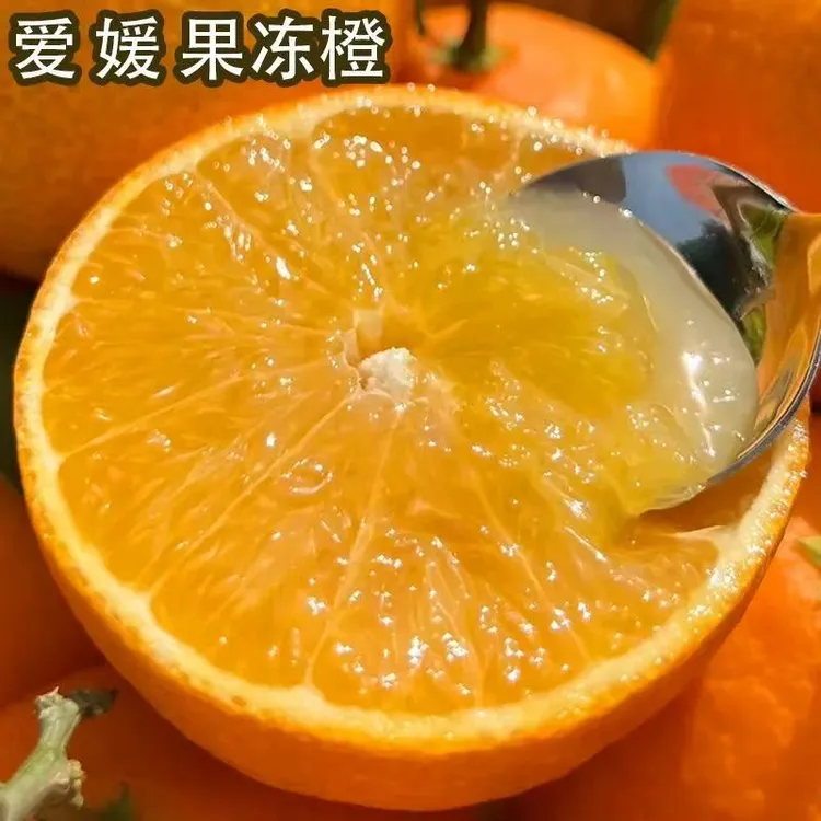 正宗四川爱媛38号果冻橙子3/5/8斤新鲜水果当季柑桔蜜橘子爆汁甜