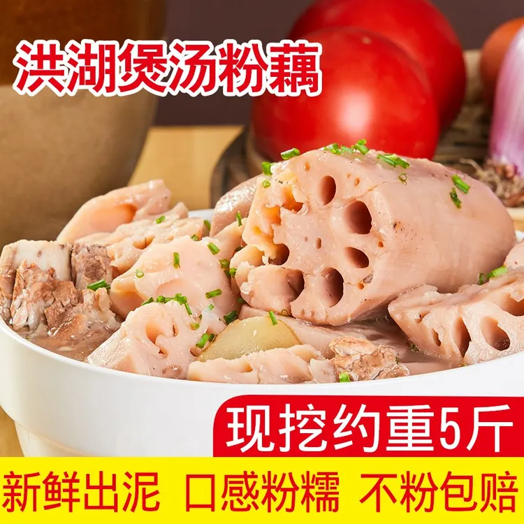 湖北洪湖新鲜现挖九孔粉藕煲汤粉糯香甜特产莲藕当季糯米藕