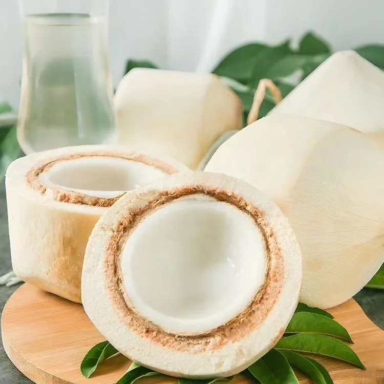 泰国【香水椰青】 精选新鲜香水耶子孕妇小椰宝牛奶椰汁当季水A