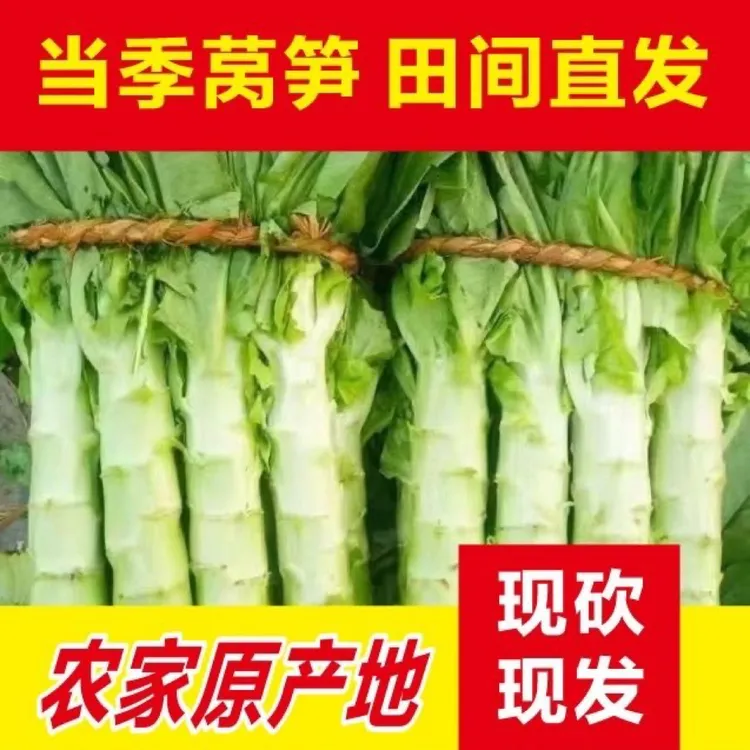 山东新鲜现砍莴笋绿心青笋当季时令蔬菜