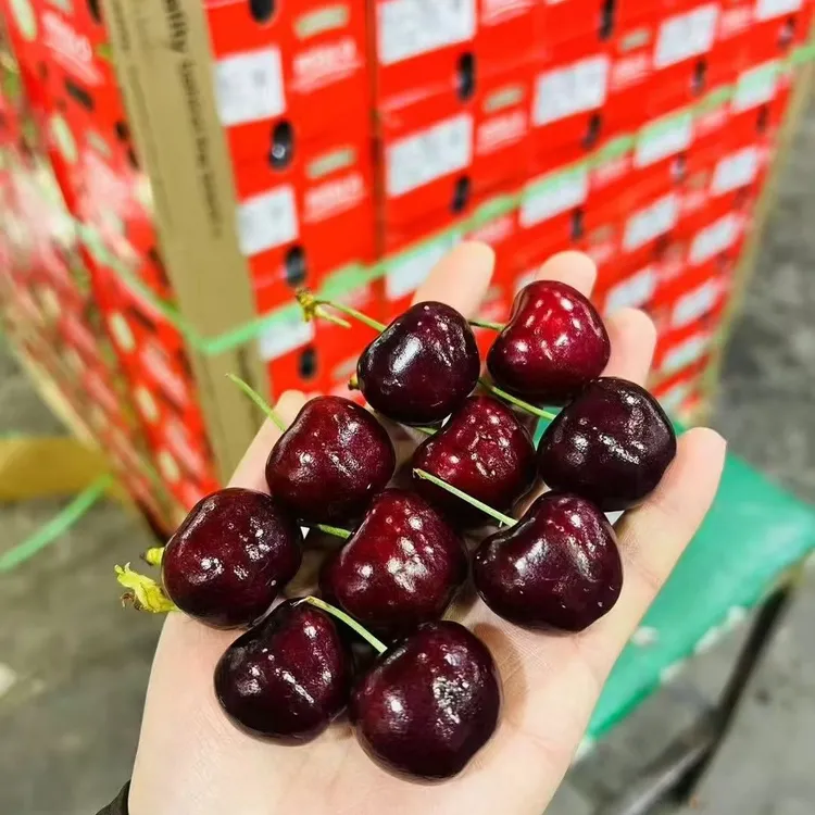 空运智利车厘子J/JJ/JJJ/JJJJ果礼盒内附果径卡